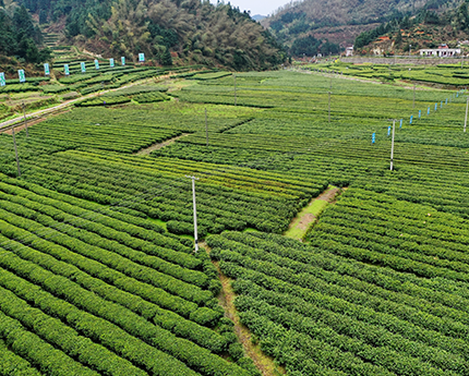 湖南瑶园生态农业科技发展有限公司