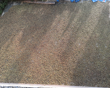 常宁市裕疆林业专业合作社